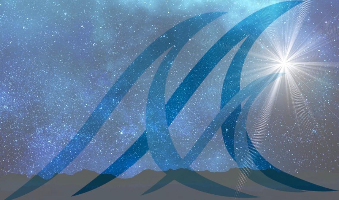 Merry Christmas &amp; Happy Holidays